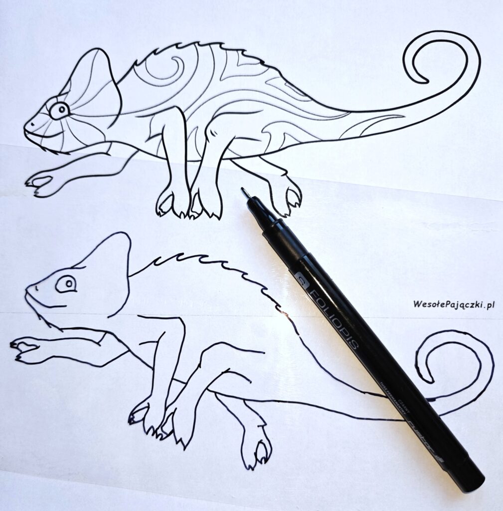 Odrysowany na folii kontur kameleona