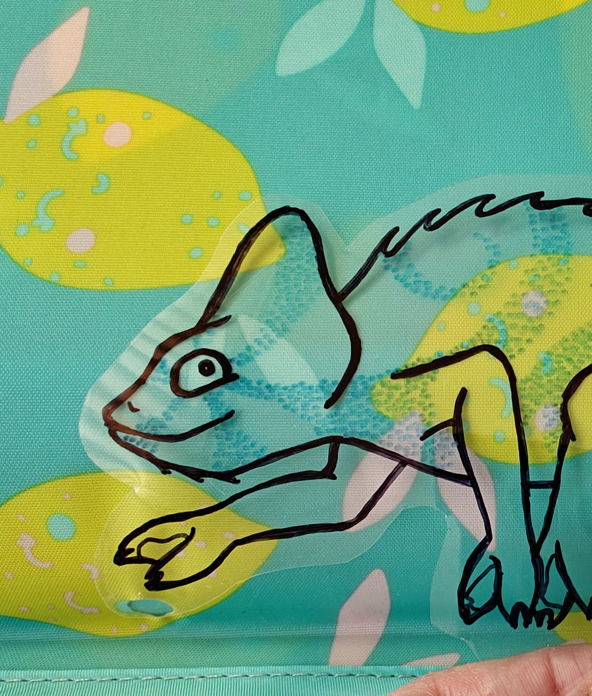 Gdzie się schował kameleon?