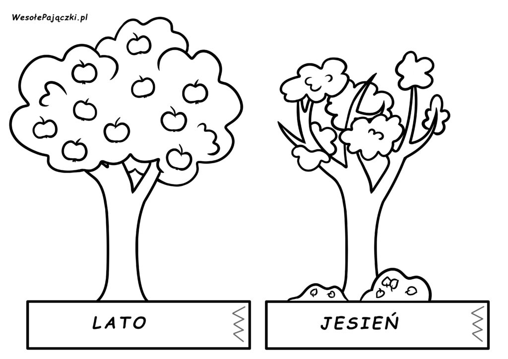 Materiały edukacyjne przedstawiające jabłoń podczas lata i jesieni.