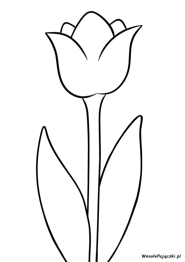 Kolorowanka prosty tulipan