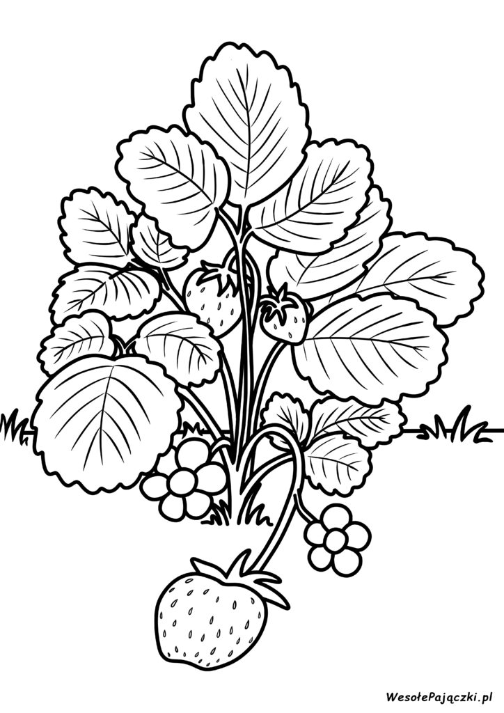 Mały krzew owocującej truskawki