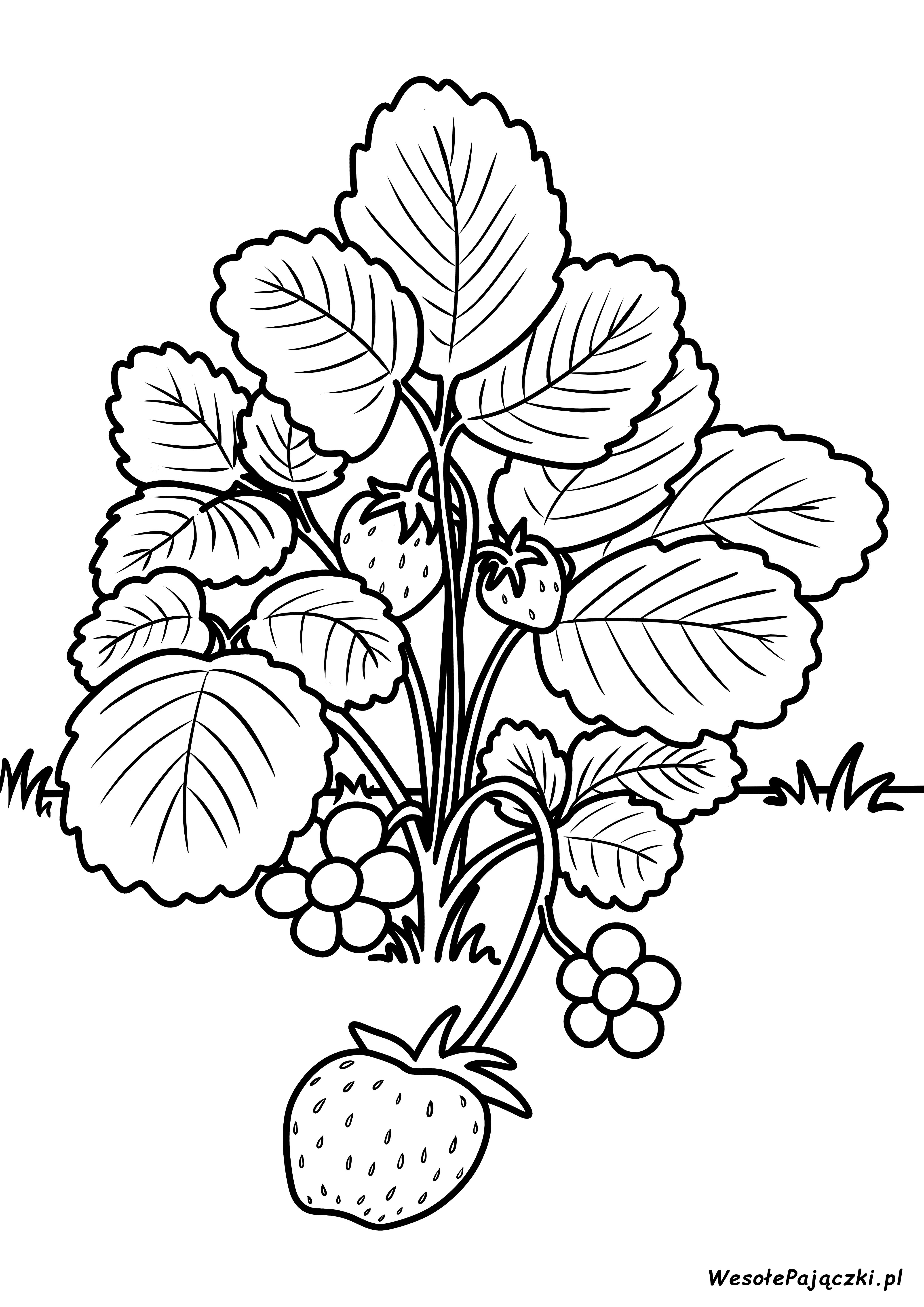 Słodziutkie truskaweczki