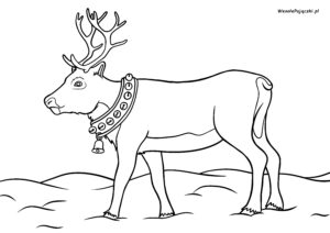 Kolorowanka z reniferem (karibu) przystrojonym w dzwoneczki.